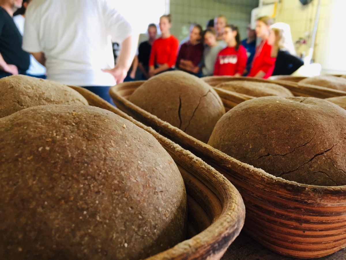 5000 Brote – Brot für die Welt – Internationales Volunteersprojekt EVKKDO